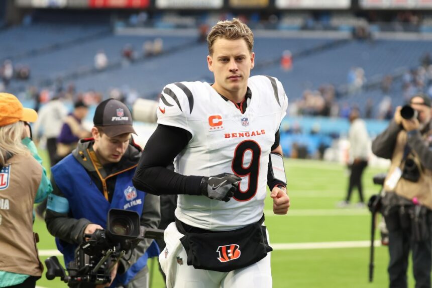 Joe Burrow and SI Swimsuit model Olivia Ponton have been ‘hooking up’ for several months: report