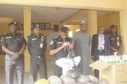 PHOTOS: Police arrest 1,254 suspects, recover stolen goods in Jigawa