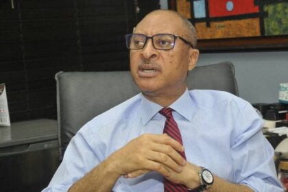 Give unemployed youths free land to farm, Utomi tells Tiinubu