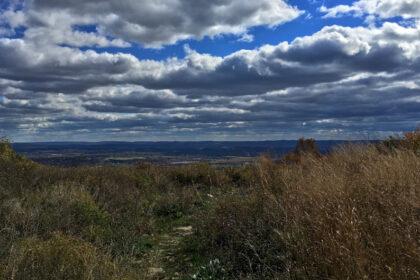 Decomposing Human Remains Found on Hiking Trail