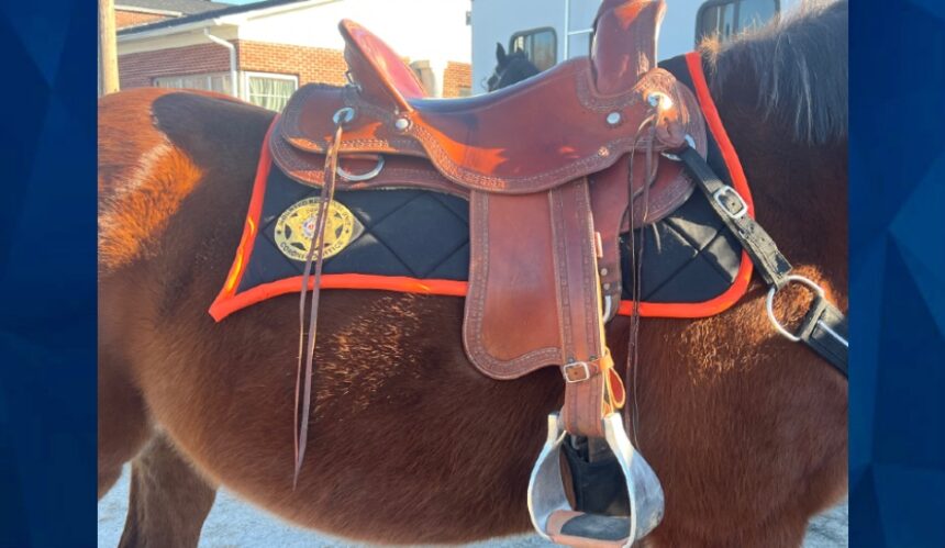 Coroner Joins Search and Rescue Horse Team Dedicated to Finding Missing People