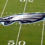 Eagles fan dies after fall from pole in celebration