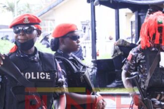 Police rescue 23 kidnapped victims in Kaduna