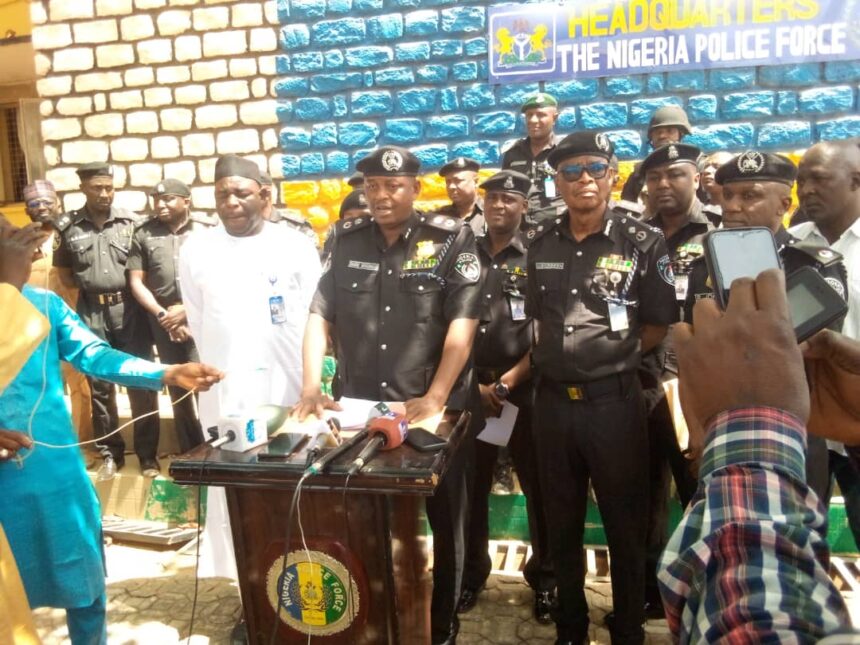 Police arrested 580, rescued 30 kidnapped victims – Kaduna CP