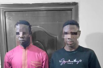 Police arrest two suspected thieves in Gombe