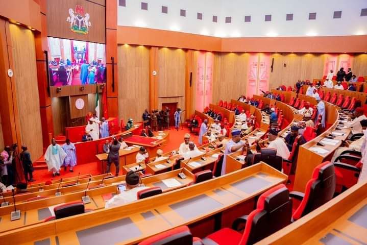 Tax reform: Senate plans review as Customs, ASUU fault provisions