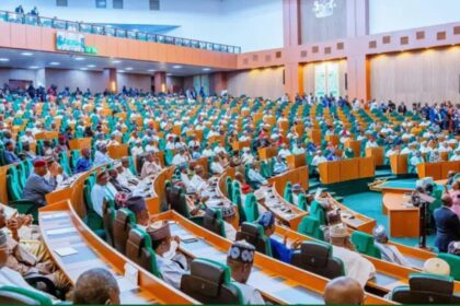Reps orders Remita to refund N182bn withheld from TSA since 2015