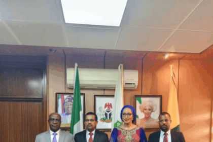Climate impact could slash Nigeria’s GDP by 55% — NCIC warns