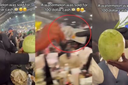 Man triggers debate online after splurging $100 on a watermelon