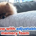 38 Products Future You Will Feel Like A Genius For Buying