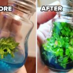Just 34 Products I Would Never Dream Of Keeping From You