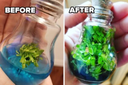 Just 34 Products I Would Never Dream Of Keeping From You