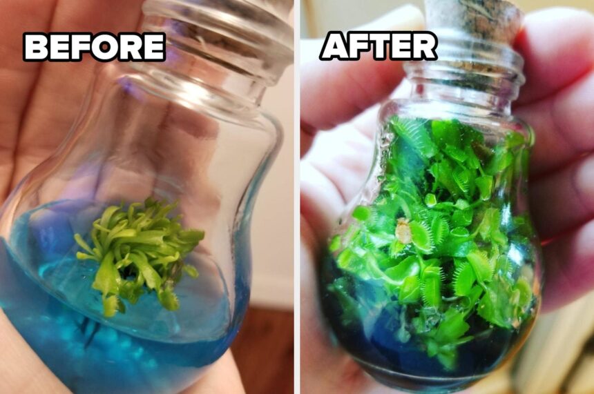Just 34 Products I Would Never Dream Of Keeping From You