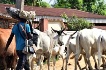 Armed herders attack two Benue LGs, kill family of eight, nine others