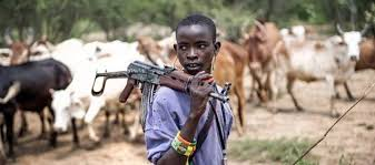 SMBLF to Nigerians: Nigeria is under siege, defend yourselves amid growing insecurity