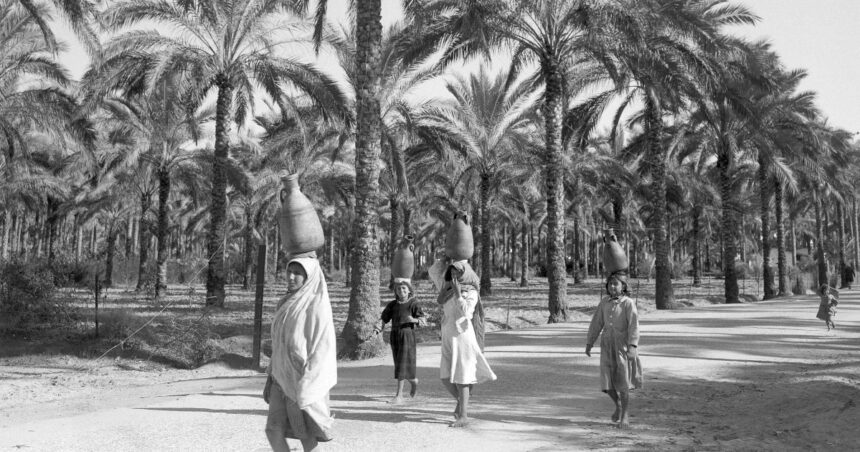 The Hawaii of Israel: How Trump legitimised a longstanding Israeli vision