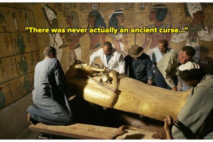 If You’ve Heard A Ridiculous Or Believable Historical Misconception, We Want To Hear About It