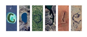 Google Doodle Spells Out Company Name With Nature For Earth Day 2025