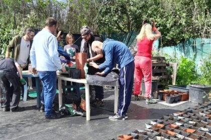 “Avec peu de moyens, on essaie de faire de grandes choses” : l’association Forest Potes reboise des zones du Biterrois