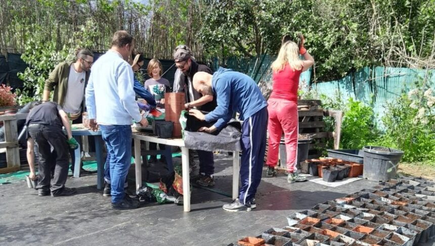 “Avec peu de moyens, on essaie de faire de grandes choses” : l’association Forest Potes reboise des zones du Biterrois