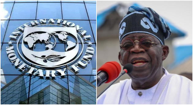 IMF urges Nigeria to increase tax revenue, tackle evaders