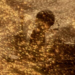 Mr.Children、全国アリーナツアー＜miss you arena tour＞のライブ映像を5/2にYouTube公開