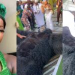 Lady stúnned after the person in a gorilla costume fa!nted while entertaining guests at a wedding (VIDEO)