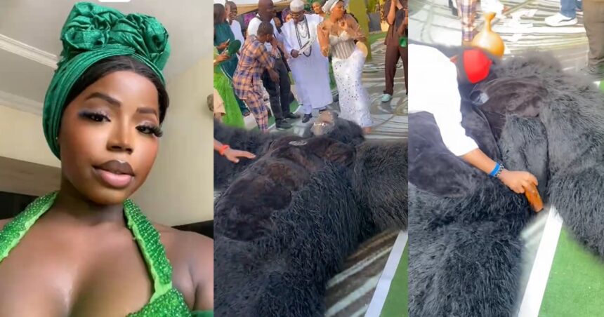 Lady stúnned after the person in a gorilla costume fa!nted while entertaining guests at a wedding (VIDEO)