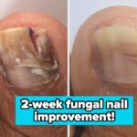 You’ll Feel Like You’ve Made A Groundbreaking Discovery After Seeing How Well These 37 Personal Care Products Work