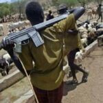 Armed herders’ attacks in Benue have persisted for 15 years – Royal Father