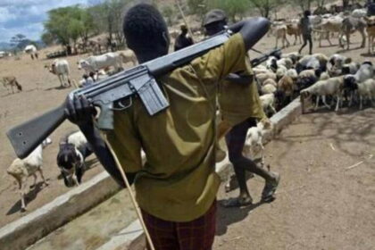 Armed herders’ attacks in Benue have persisted for 15 years – Royal Father