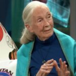 El desafío de Jane Goodall, famosa experta en chimpancés, a David Broncano en ‘La Revuelta’: “¿Debería enseñarte?”