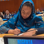 US-based activist accuses Senator Natasha of offering N200m to blackmail Akpabio