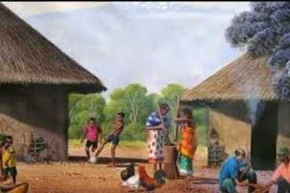 Village Life Diaries: What a week without internet taught me