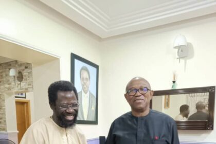 2027: I’ll still vote Peter Obi, says Farotimi