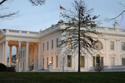 Trump plan cuts funding for brain injury research