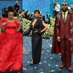 Burna Boy, Ayra Starr, Chimamanda, others shine at 2025 Met Gala