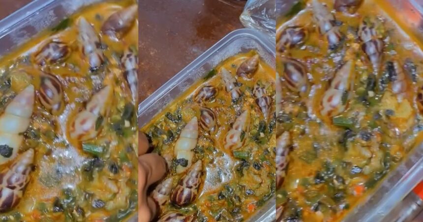 “No food I never see since I start dey serve Nigeria” – Lady stúnned after her roommate prepared okro soup and snails in their shells (WATCH)
