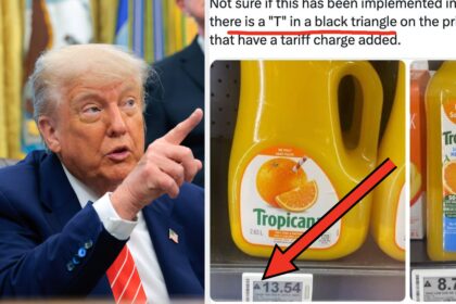 21 Ways Americans Are Seeing Trump Tariffs In Action, And This Is Just The Beginning
