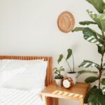 Las plantas más resistentes (y decorativas) para esta primavera 2025