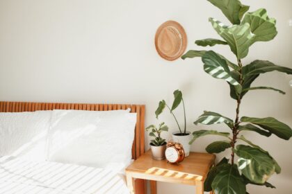 Las plantas más resistentes (y decorativas) para esta primavera 2025