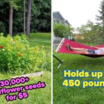 35 Things To Make Your Backyard Look Fancy (Without The Fancy Pricetag)