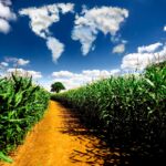 Food industry fights to cope with geopolitical volatility