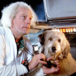 Antes del adorable Einstein, el compañero de Doc en Regreso al Futuro iba a ser un animal mucho más exótico
