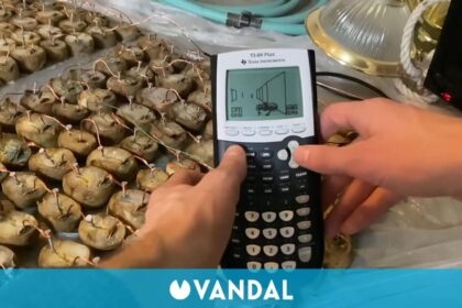 Conecta más de 200 patatas a una calculadora sólo para hacer funcionar DOOM