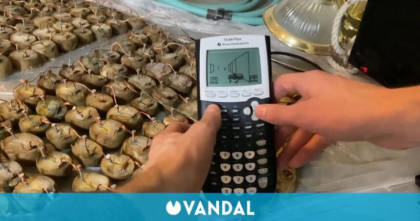 Conecta más de 200 patatas a una calculadora sólo para hacer funcionar DOOM