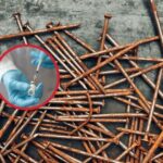 ¿Los clavos oxidados causan el tétanos? La ciencia responde sobre mitos, realidades y prevención