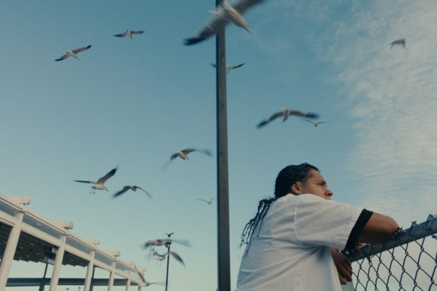 Sundance’s ‘Mad Bills to Pay’ Boarded by Salaud Morisset Ahead of Karlovy Vary Screening (EXCLUSIVE)