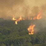 Incendies dans l’Aude : il roulait sans permis ni assurance, un homme suspecté d’avoir mal éteint son barbecue mis en examen
