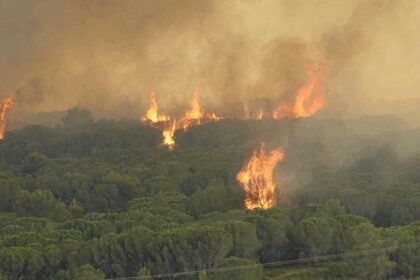 Incendies dans l’Aude : il roulait sans permis ni assurance, un homme suspecté d’avoir mal éteint son barbecue mis en examen